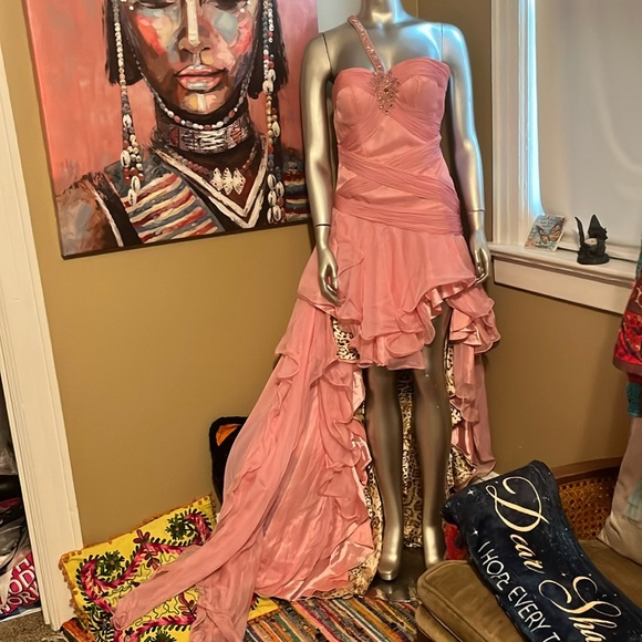 Dave & Johnny gown prom dress pink ruffles girly cheetah leopard animal print - Picture 1 of 17